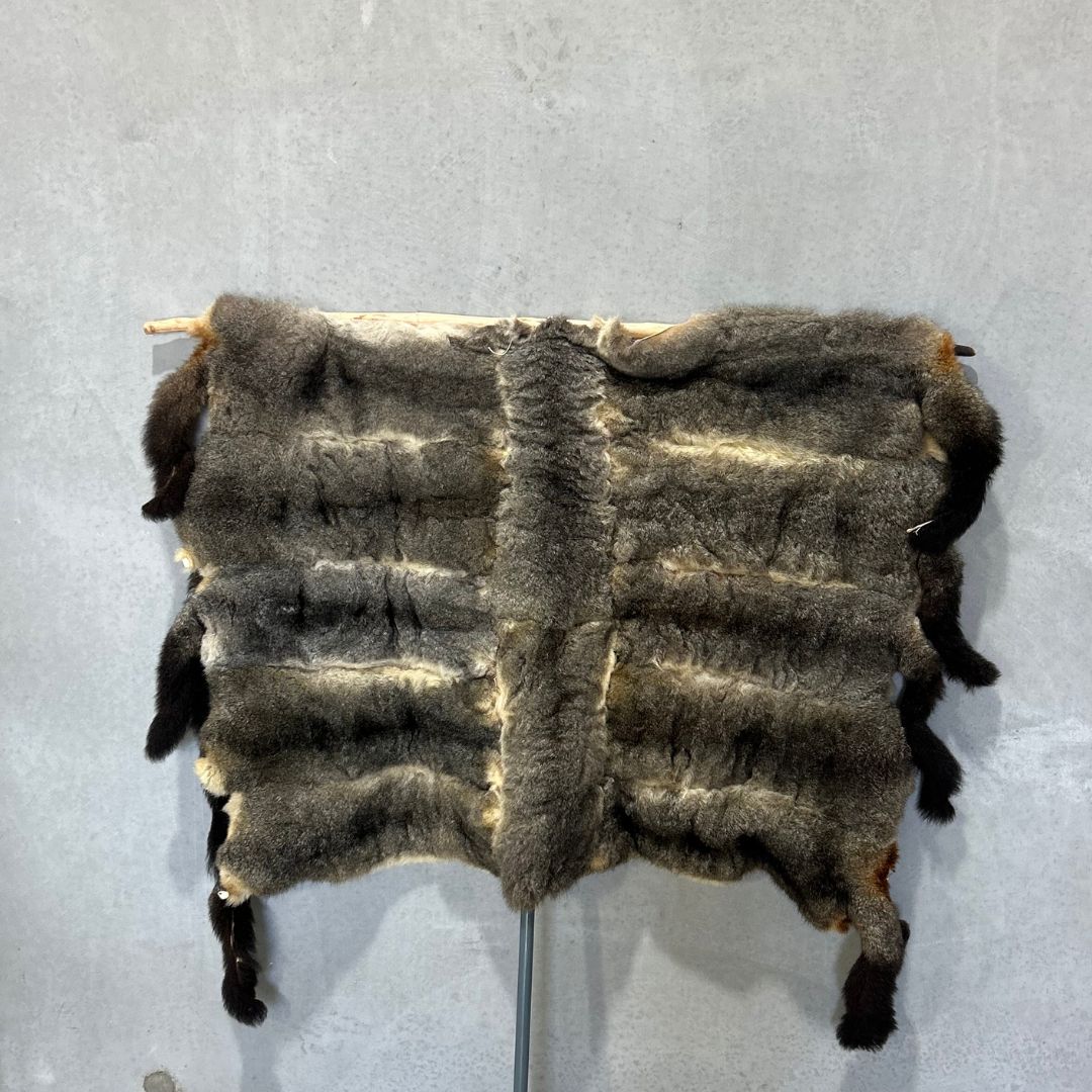 timita payakti (12 possums)