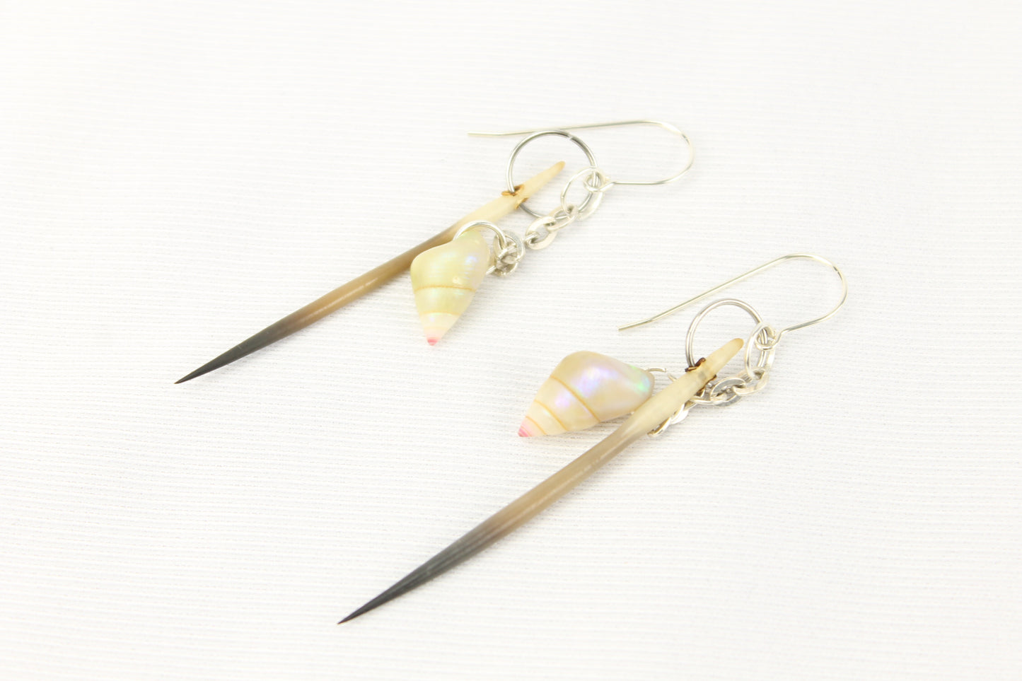 Maireener Shell and Echidna Quill Earrings