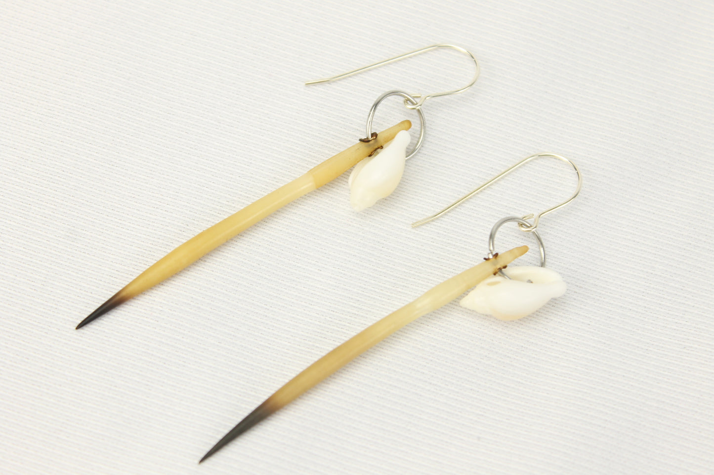 Penguin Shell and Echidna Quill Earrings