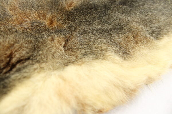 Possum Skin