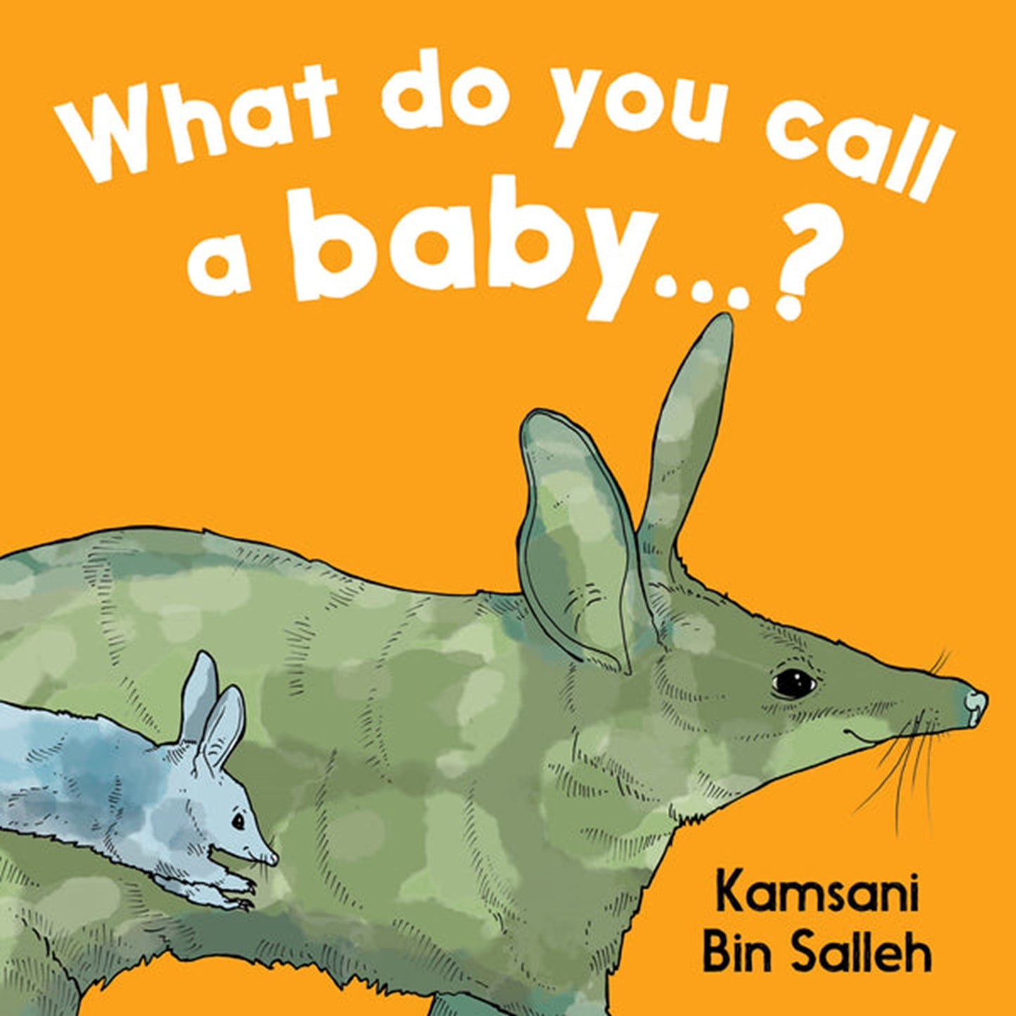 What do you call a Baby