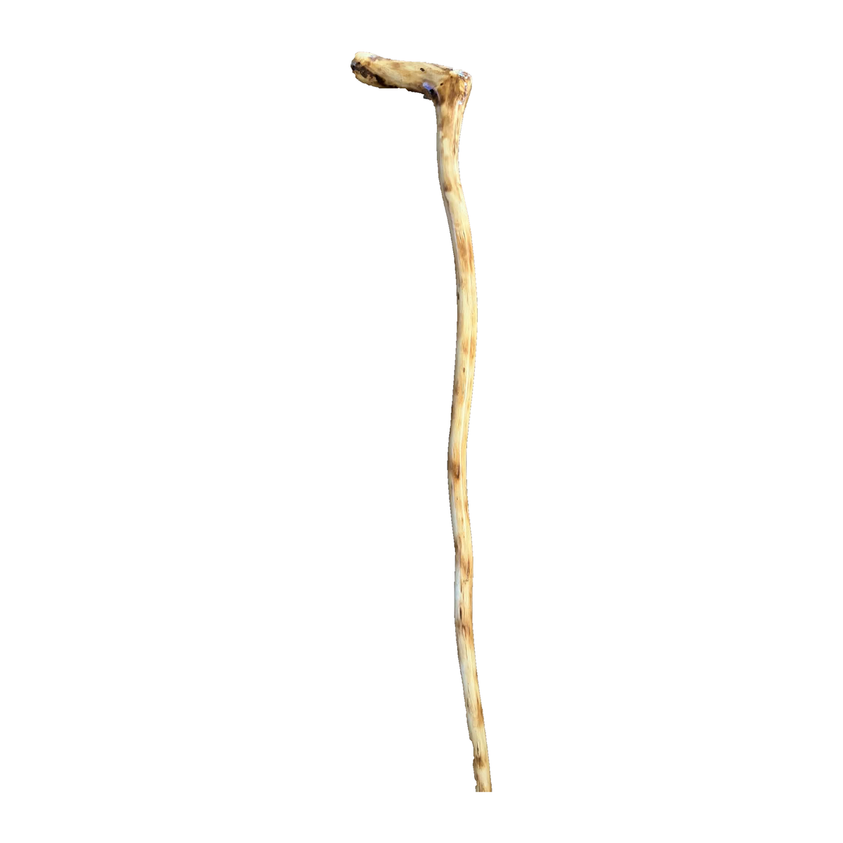 Natural-Crook Stringybark Walking Stick made by Braydon Williams