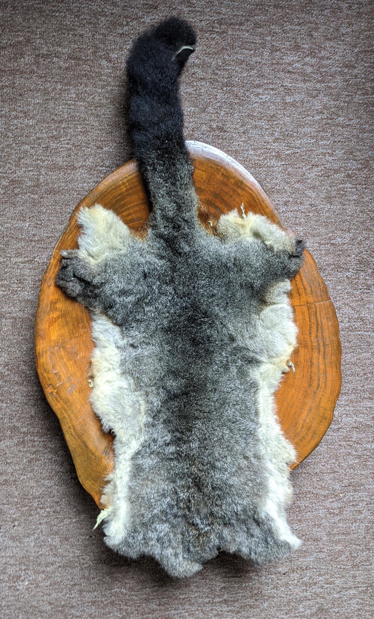 Possum Skin - Red
