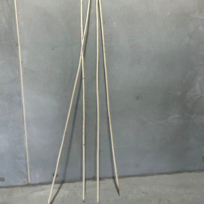 Spear