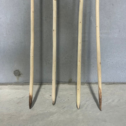 Spear