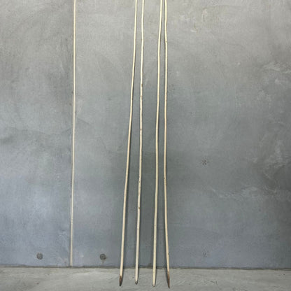 Spear