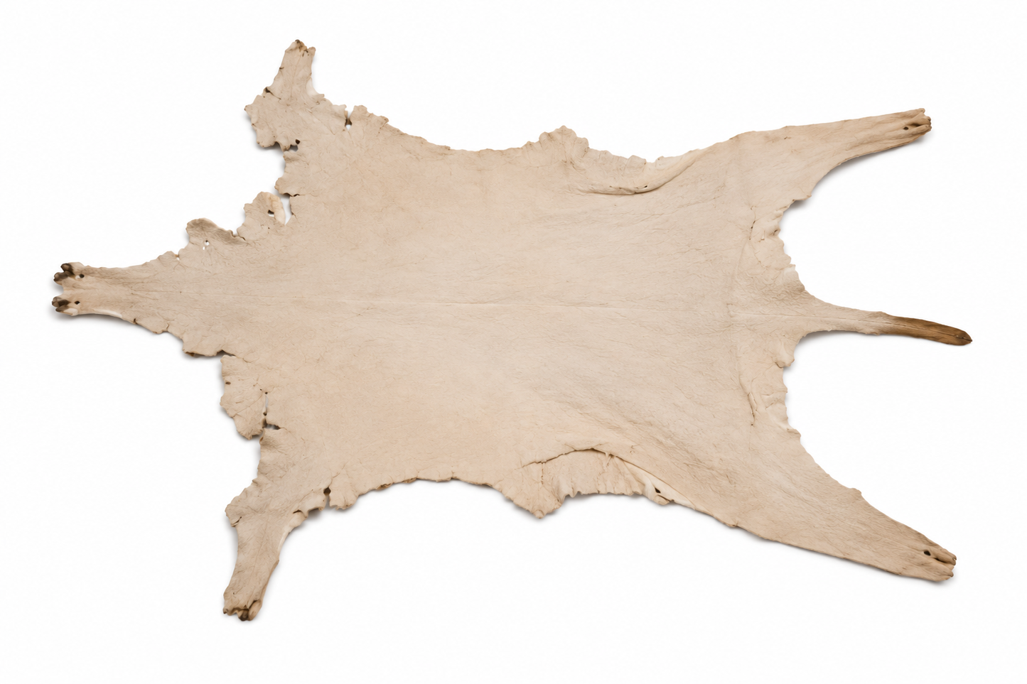 Kangaroo Skin