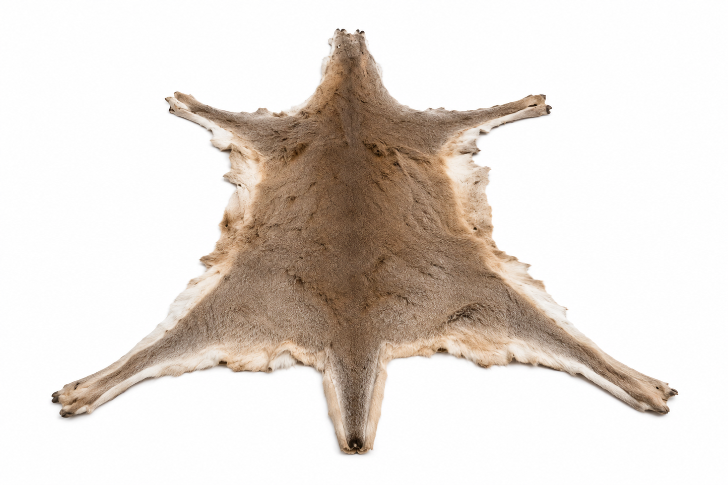 Kangaroo Skin