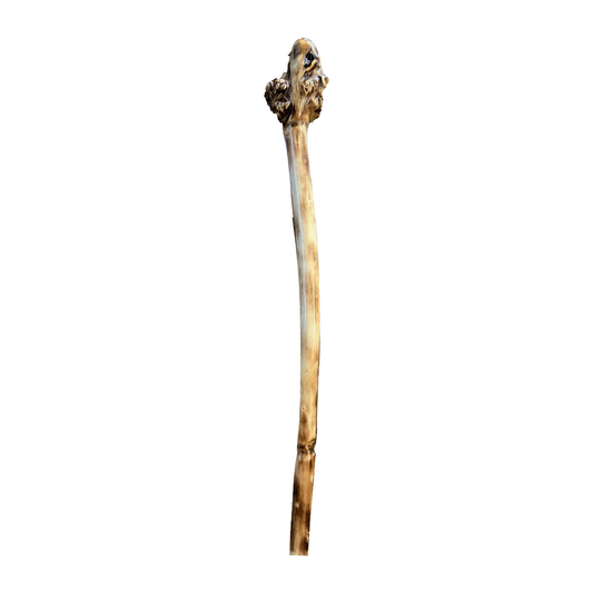 Compact-Head Stringybark Waddy made by Braydon Williams