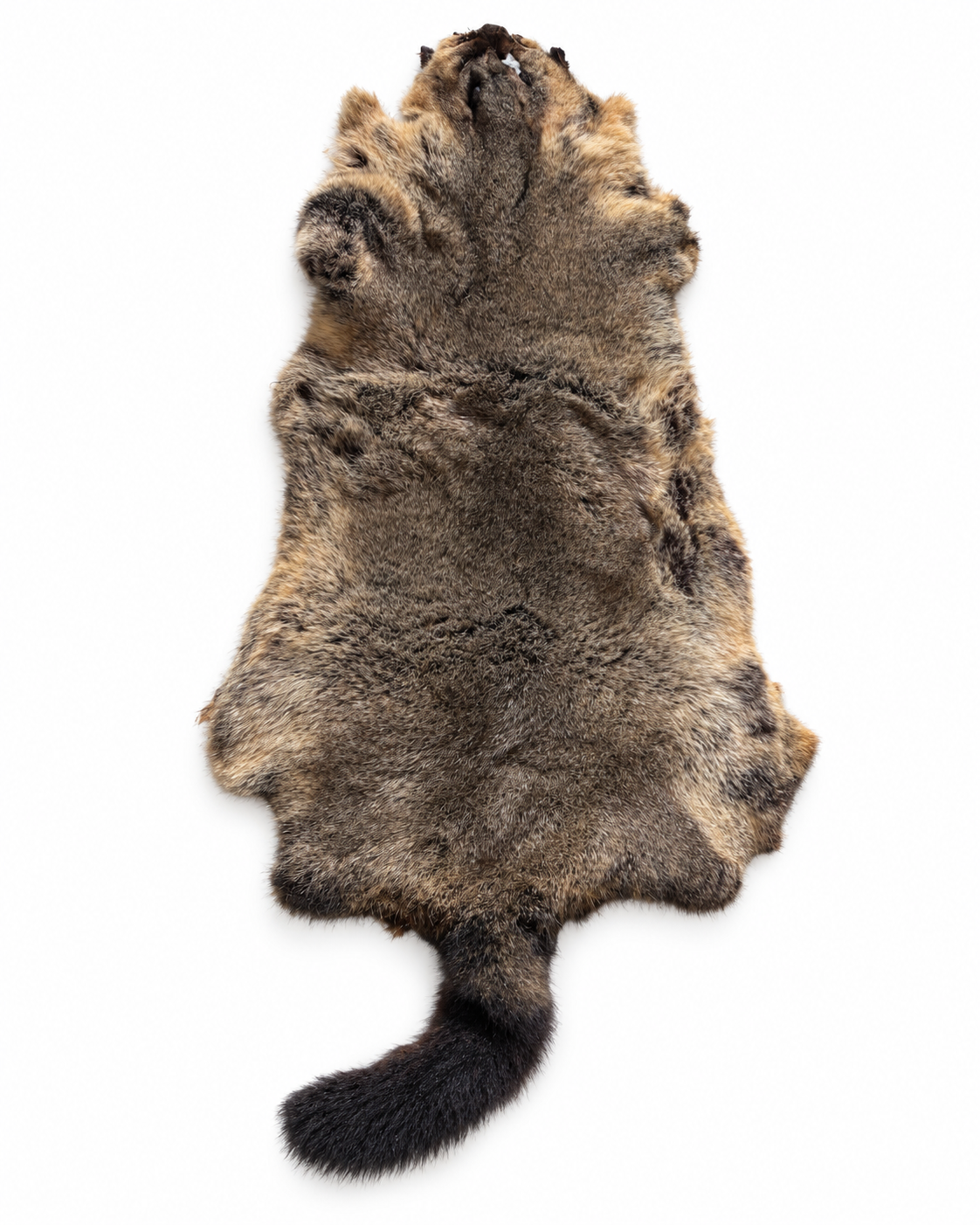 Dyed possum skin in Storm, fur side