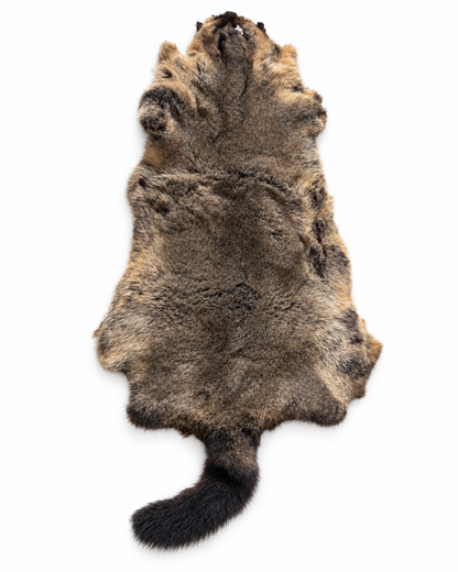 Dyed possum skin in Storm, fur side