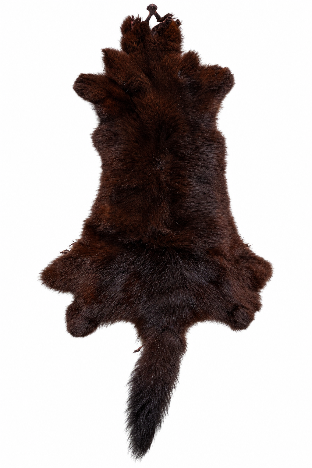 Dyed possum skin in Cadbury, fur side