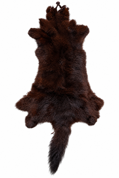 Dyed possum skin in Cadbury, fur side
