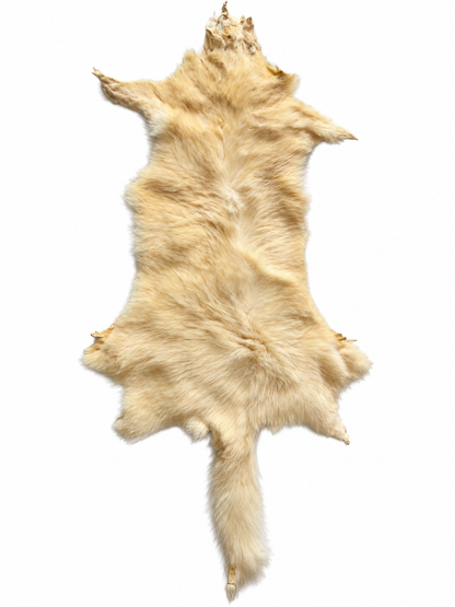 Dyed possum skin in Champagne, fur side