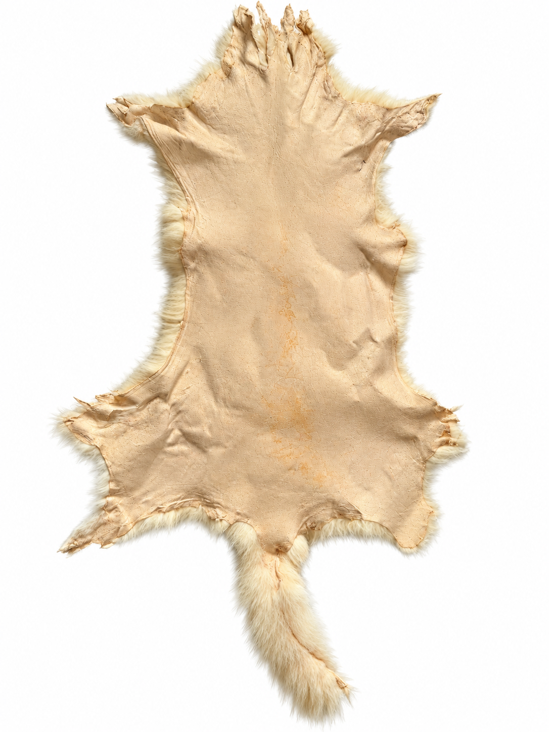 Dyed possum skin in Champagne, leather side