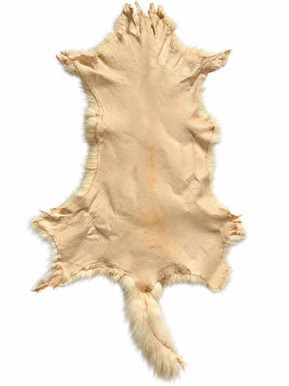 Dyed possum skin in Champagne, leather side