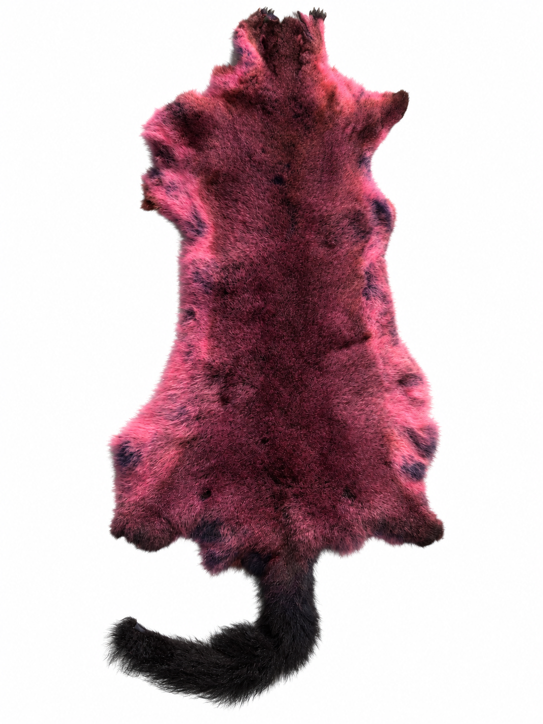 Dyed possum skin in Wildberry, fur side