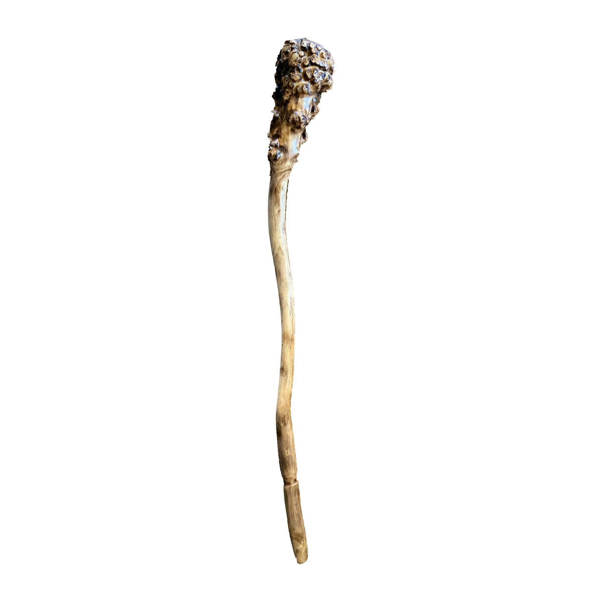 Long-Head Stringybark Waddy made by Braydon Williams