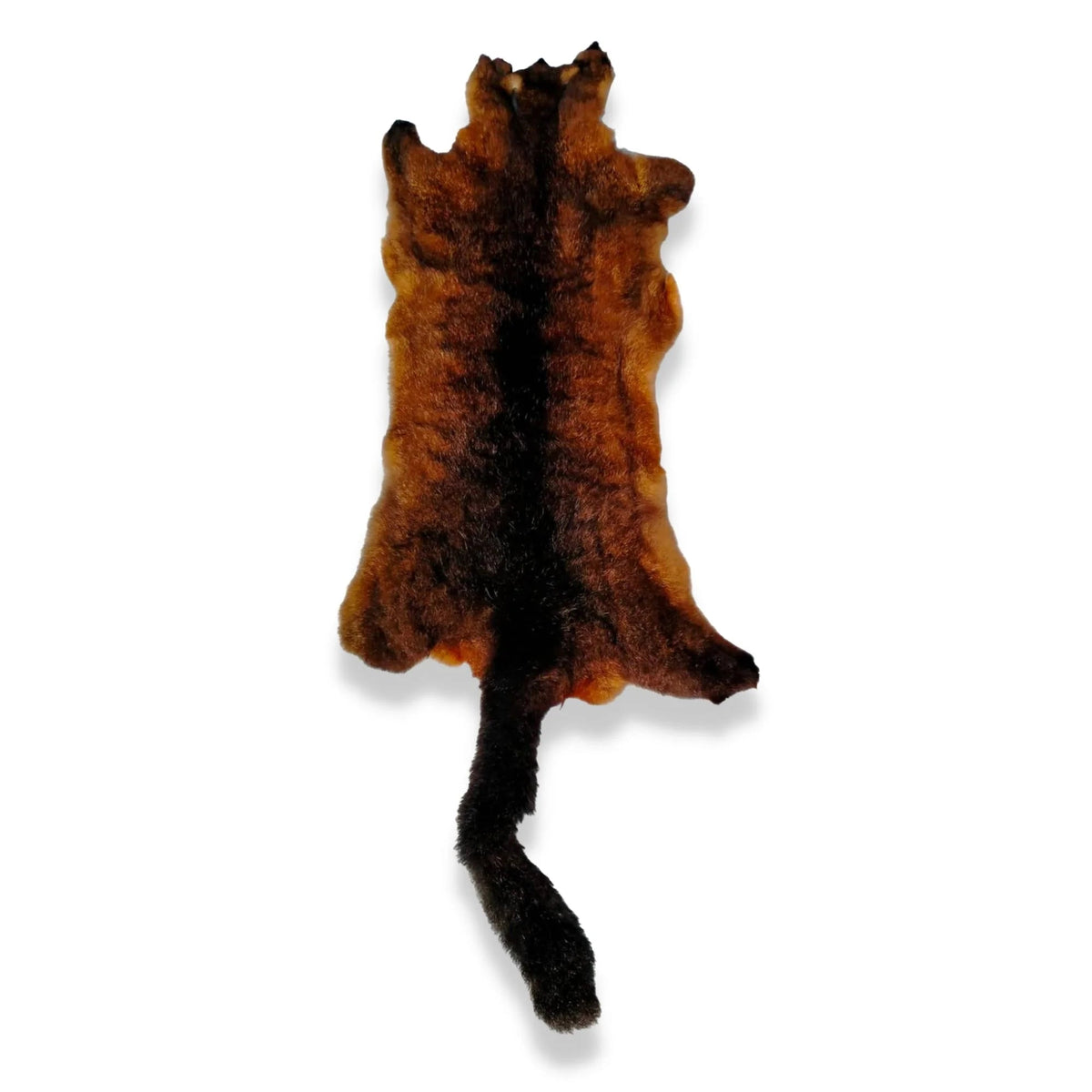 Natural dark brown red possum skin, fur side, upright