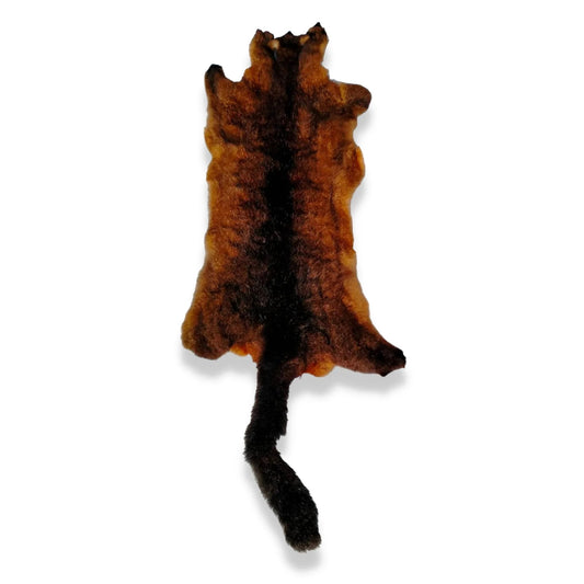 Natural dark brown red possum skin, fur side, upright