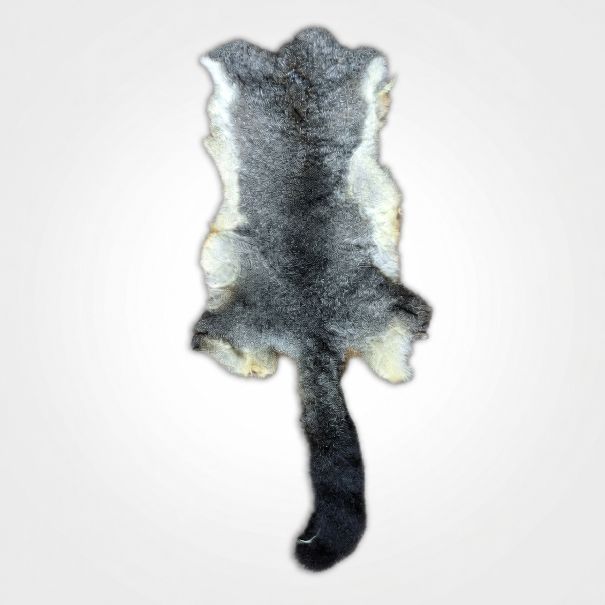 Natural grey possum skin, fur side, upright