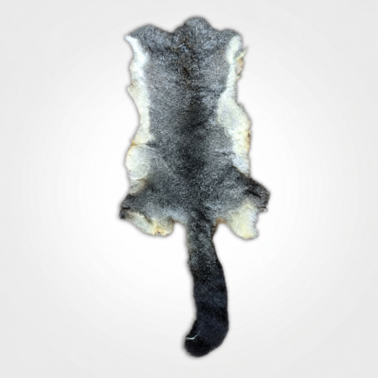 Natural grey possum skin, fur side, upright