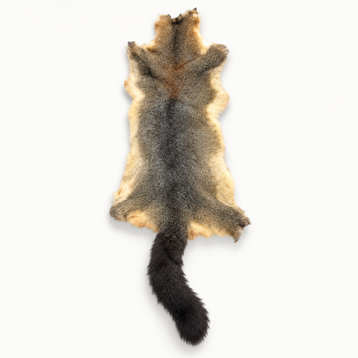 Natural rusty possum skin, fur side, upright