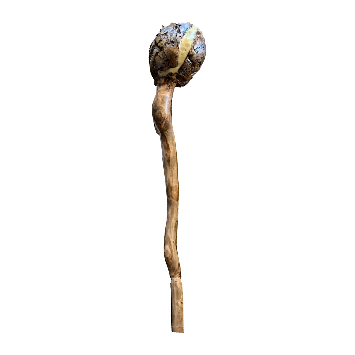 Pale-Stripe Stringybark Waddy made by Braydon Williams